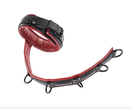 Saffron Adjustable Neck and Wrist Restraints