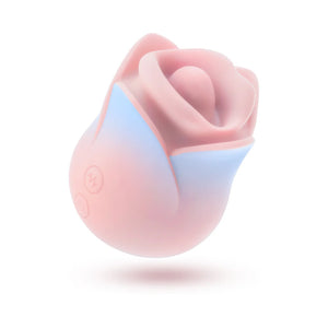 Colección Blush Kissing Rose