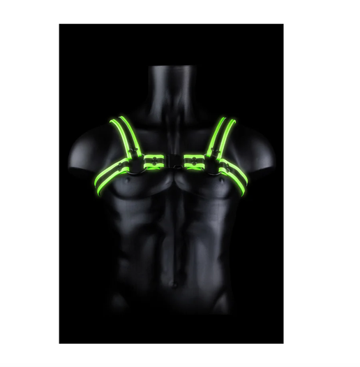 Harness with Neon Buckles