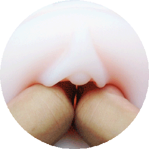Combo de funda vaginal Lovense Max 2 y Max 2