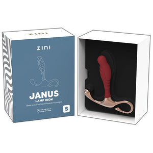 Zini Janus Punto (P)