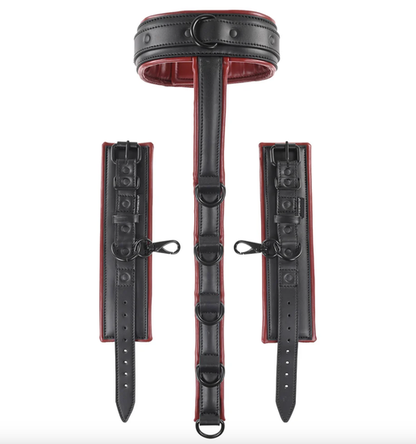 Saffron Adjustable Neck and Wrist Restraints